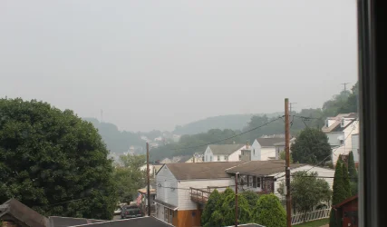 IMG_0220 - Copy.webp